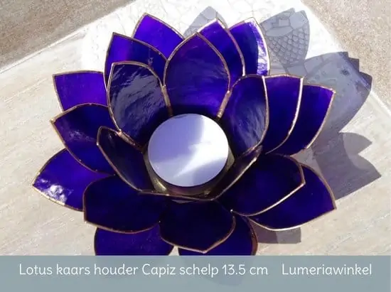 Lotus sfeerlicht indigo 6e chakra goudrand - 13.5 cm - S